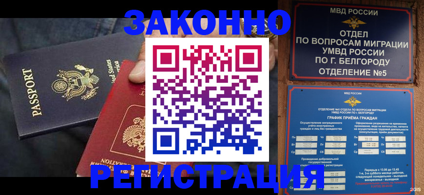 прописка законно в Куровском